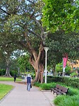 Stadspark Sydney