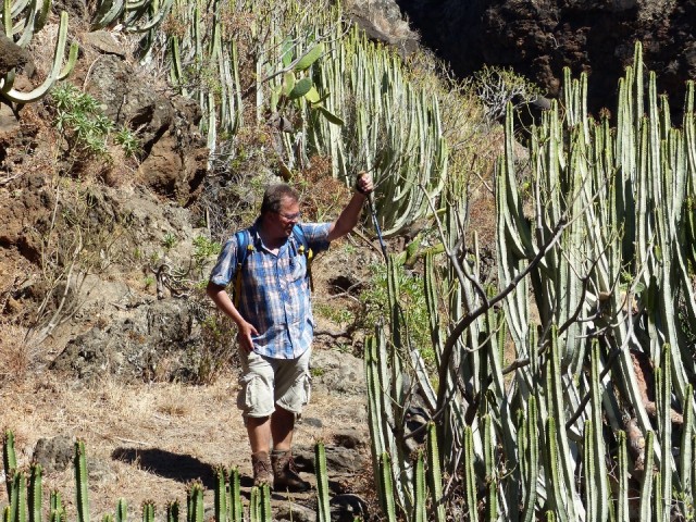Tussen de cactussen
