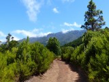 Wandeling La Zarza