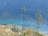 De azuurblauwe zee