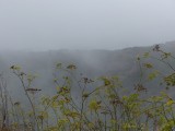 Mist vanaf zee bij Barlovento