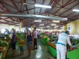 El Mercadillo