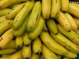 Palmese banaantjes