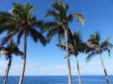 Puerto Naos