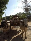 IMG_20141124_083426