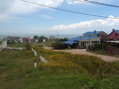 IMG_20161115_114929