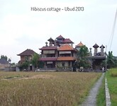 Hibiscus cottage 2013