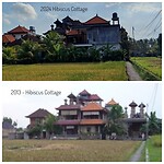 Hibiscus cottage