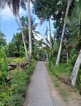 Kajeng Rice Field - Ubud