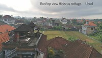 Rooftop Hibiscus cottage
