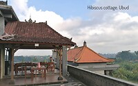Rooftop Hibiscus Cottage