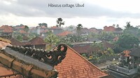 Rooftop Hibiscus cottage