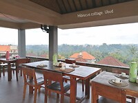 Rooftop Hibiscus cottage