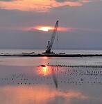 IMG-20240524-WA0011