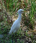 IMG-20240601-WA0012