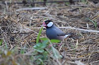 IMG-20240601-WA0031