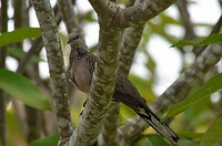 IMG-20240601-WA0026
