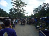Druk straatje in het binnenland ( Lombok Ferrarie noemen ze hier de paard en wagen )