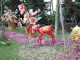 DSCN0849