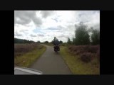 Door de Malpie