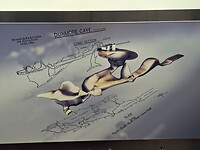 20260605_105407