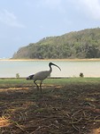 Nambucca Heads