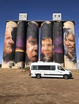 Silo-kunst Sheep Hills