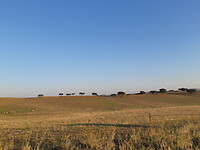 20211015_090936