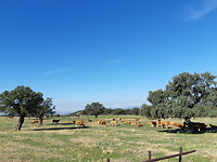 Onderweg naar Bejar