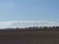 Weids landschap