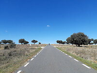 De eenzame fietser