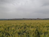 Onderweg naar Zaragoza