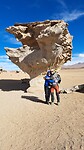 Arbol de piedra