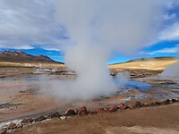 Los geysers del Tatio