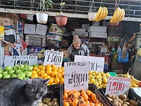 Mercado Central