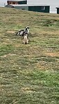VID-20241120-WA0007