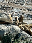 IMG-20241123-WA0011