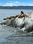 IMG-20241123-WA0013