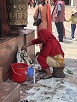 IMG_5561