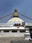 IMG_5546