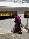 IMG_5548