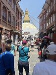 IMG_5545