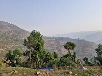 20250426_065859