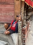 IMG_5911