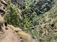 IMG_6230