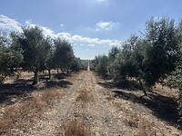 IMG_7061