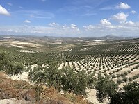 IMG_7143