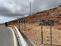 IMG_7503