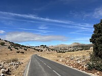 IMG_7491