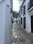 IMG_7635